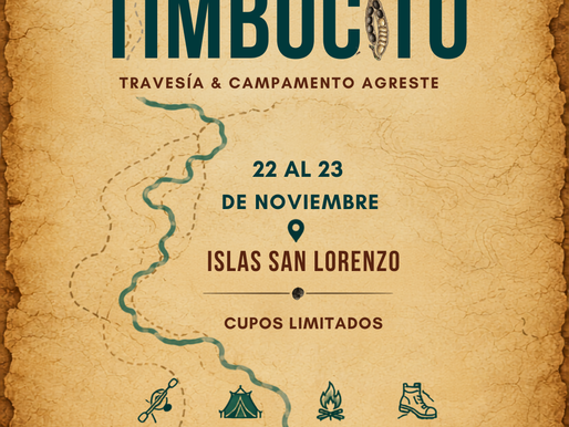 El Timbocito