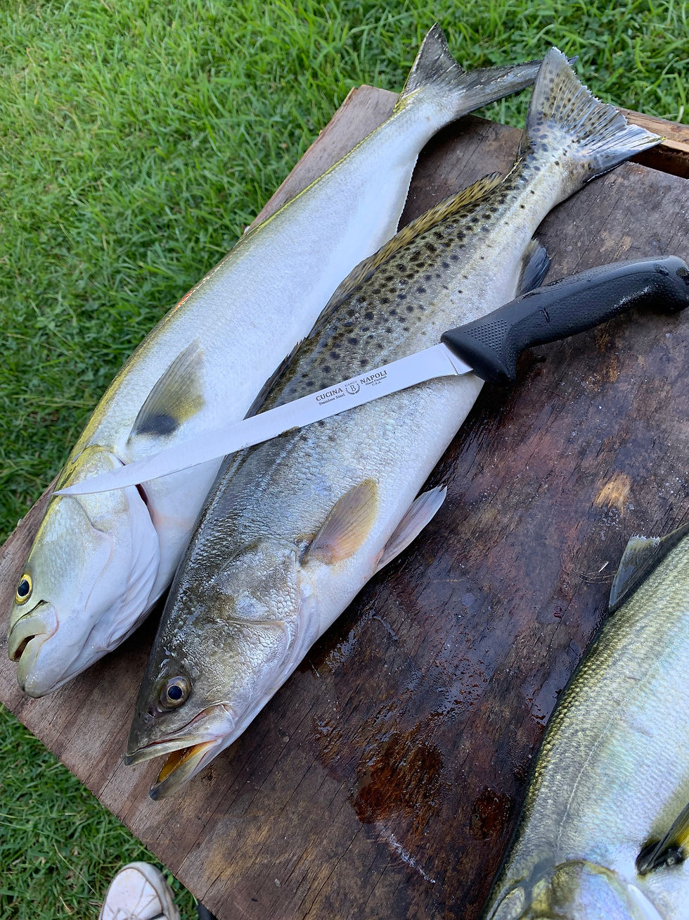 Thumbnail: BI-CN-808 Cucina Napoli 8.25" Narrow Fillet Knife Bianco Instruments