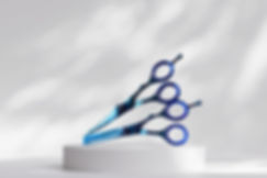 BC-B2 Bella Capelli 6" Blue Professional Hair Cutting and Thinning Kit Bianco Instruments