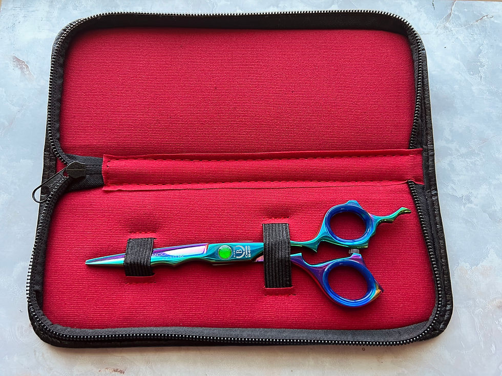 Thumbnail: BI-0157 Bianco Custom 7" Titanium Hair Cutting Shear with Solid Finger Rest Bianco Instruments