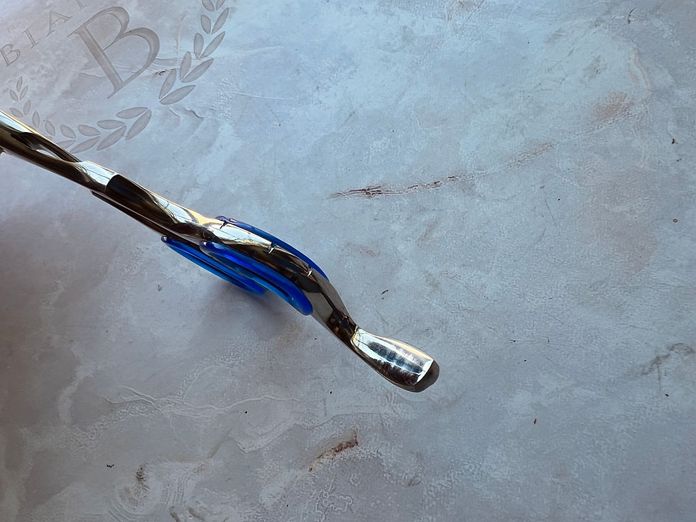 Thumbnail: BI-0155 Bianco Custom 7" Hairdressing Scissor with Solid finger Rest Bianco Instruments