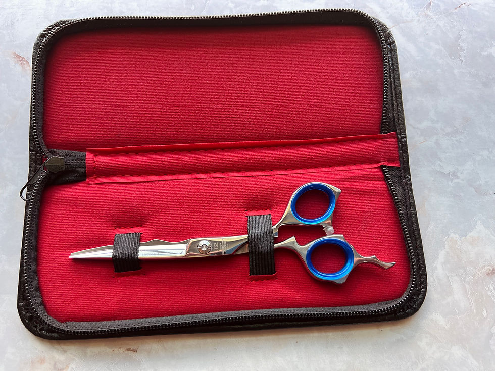 Thumbnail: BI-0156 Bianco Custom 6.75" Hairdressing Scissor with Solid Finger Rest Bianco Instruments