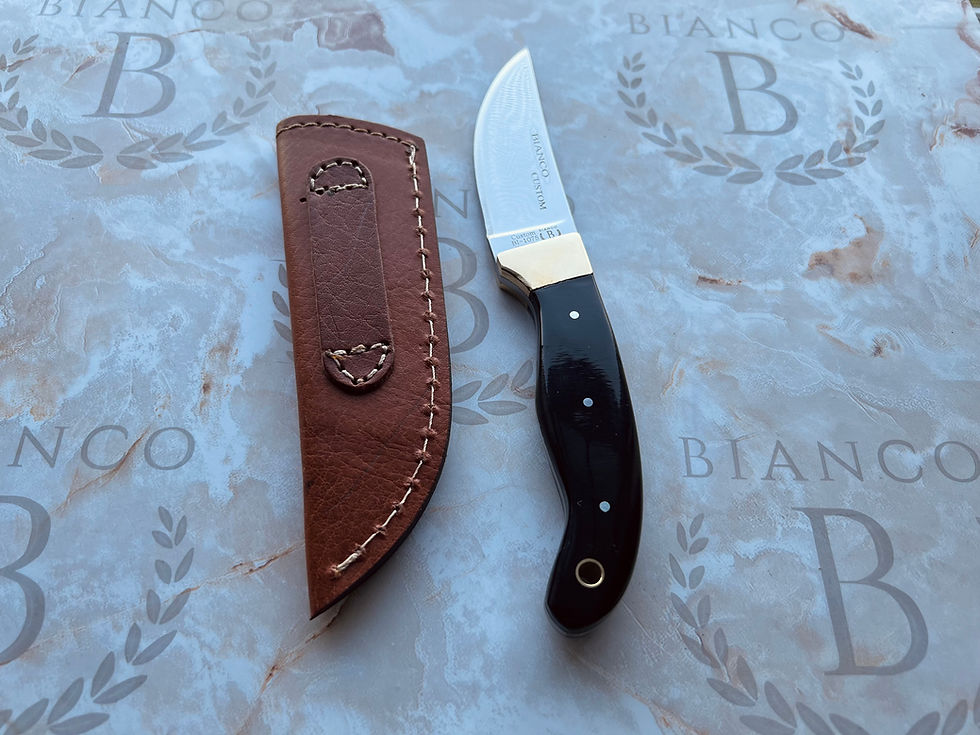 Thumbnail: BI-1075 Bianco Custom Bull Horn 8.5" Hunting Knife Bianco Instruments