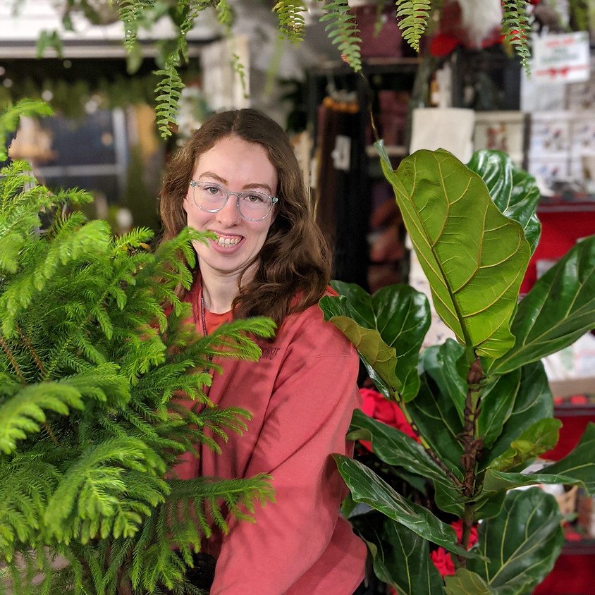 Houseplant 101 With Holly!