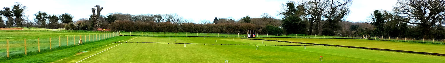 NEW LAWNS 2023 03 30 revised_edited.jpg