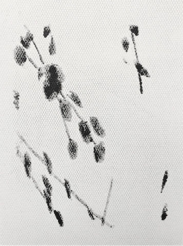 20180214_121606007_iOS.jpg