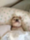 images-2.jpeg