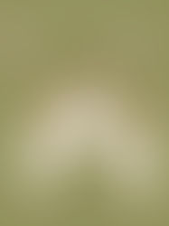 Midi Brudekjoler 2023: Tidløs Elegance til den Moderne Brud