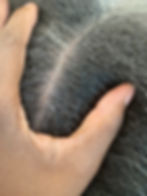 Cleansed, Refreshed Scalp