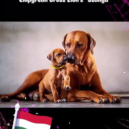 Willkommen zu Hause Ssanyu