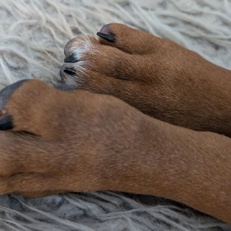 Etwas neues kündigt sich an :D