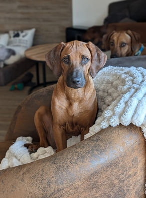 Abbey wächst und gedeiht :)