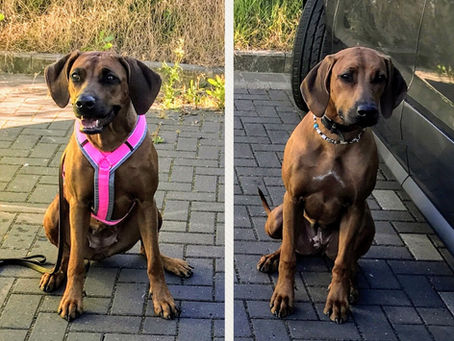 Darf ich vorstellen, "Mama" :D