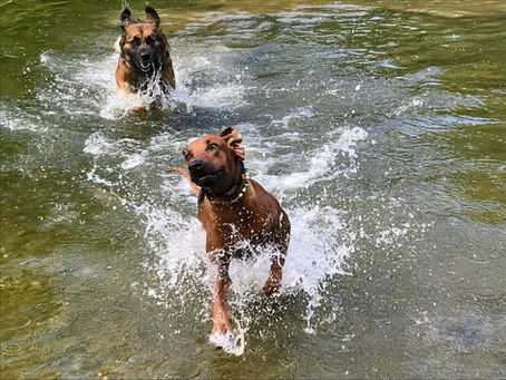 Der Heimweg führte über Rosenheim