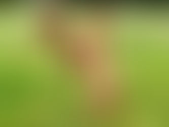 Wir waren bei Shahruk und warten nun gespannt auf das Ergebnis. Alle Daumen und Pfoten sind gedrückt