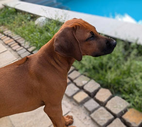 Herzlich Willkommen Abbey