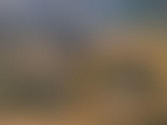 Im Wald ist es am Schönsten 🙂