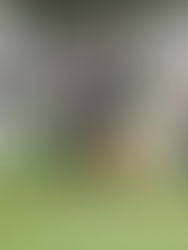 GRA Hückelhoven 2026