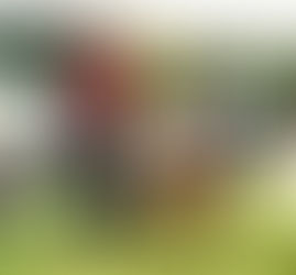 Flashback - Club Show 2018