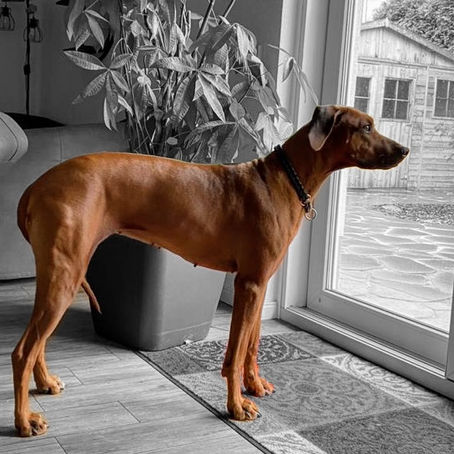 Schwangerschaftswoche 5 - Alles noch in Form :-)