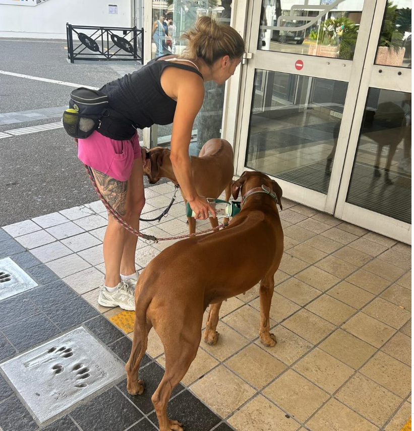Vanessa Nuber beim Hundetraining in einer Alltagssituation
