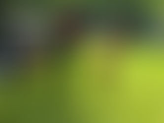 Das erste Mal (CTA - Groß Gerau)