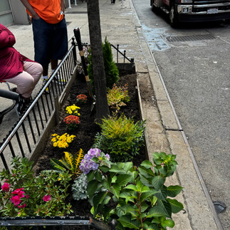 BRC community gardening project