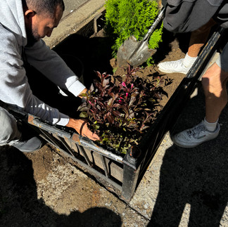BRC'S Garden Project