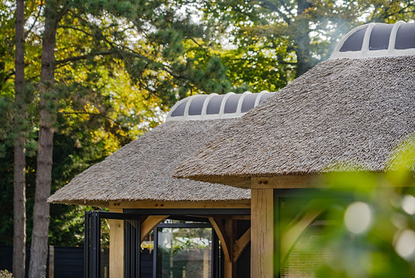 2025_Oostvoorne Poolhouse_ Heeren van Eijck (10).jpg