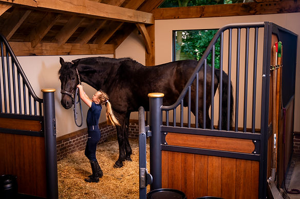 HeerenvanEijck_Paardenstal (4).jpg