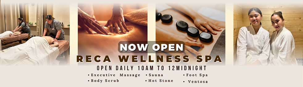 Wellness Spa Banner.png