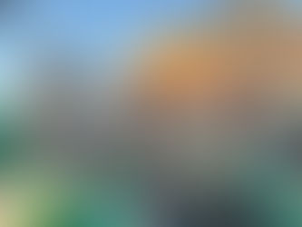 St. Patrick’s Day at Doherty’s: Our Favorite Tradition