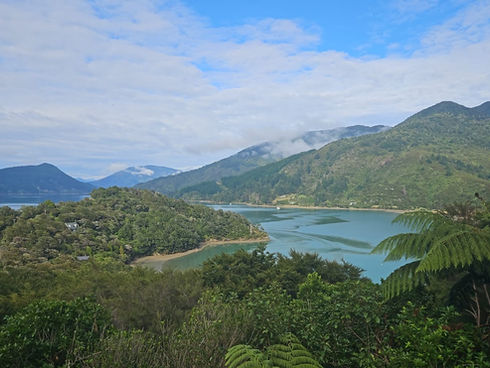 The Space Between Years: Purpose, Reflection, and Becoming