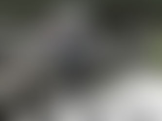 Varšava je i dalje glavno središte za novačenje profesionalnih boraca