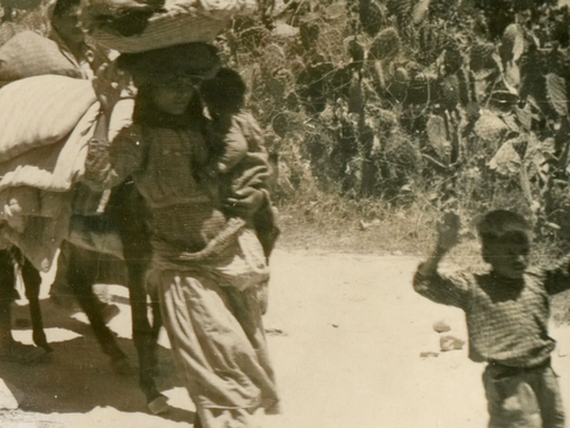 Haaretz: "Teror je bio potreban da se protjeraju Arapi"