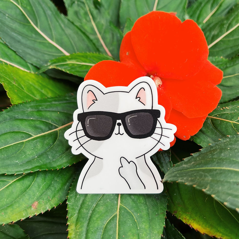 Rebellious Cat