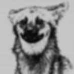 ezgif.com-animated-gif-maker.gif