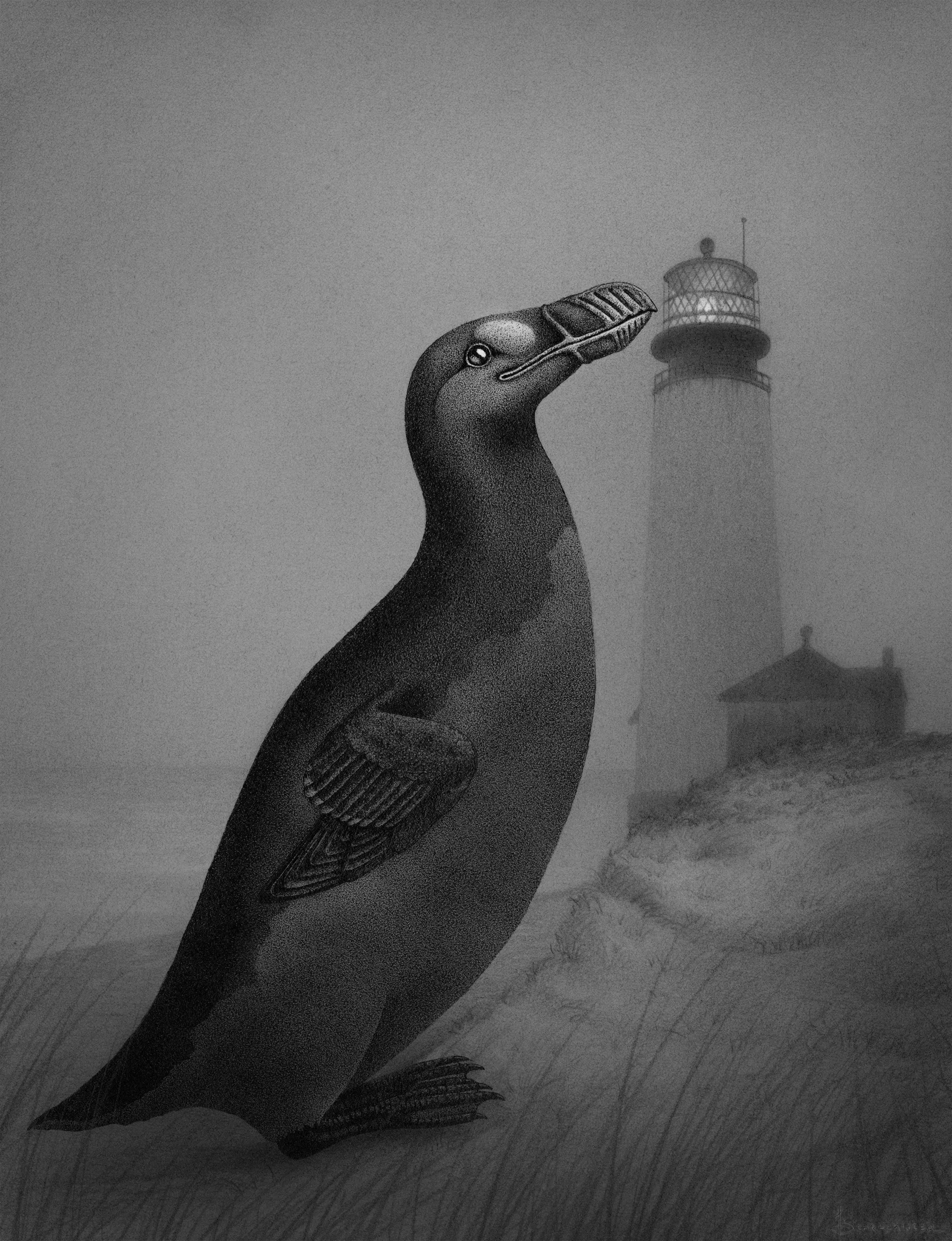 "Fifer and The Cape Henlopen Lighthouse" Archival Print