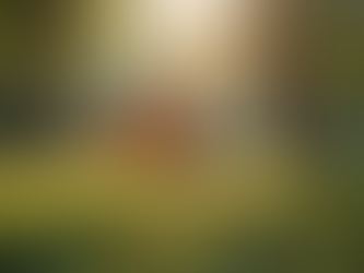 The Importance of Nature Play For Kids