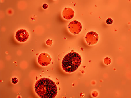 Understanding Cryptosporidium Infections: Causes, Symptoms, and Prevention Tips