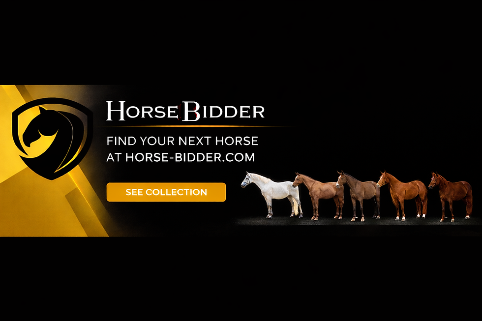 Ontwerp zonder titel (1)_edited.png