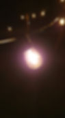 239953703_240962067914212_5052508099154532352_n.jpg