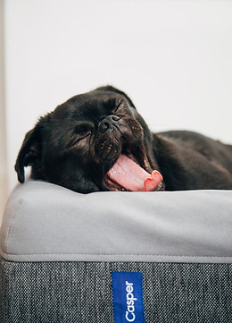 63_charlesdeluvio-S2AcayPkszE-unsplash.jpeg