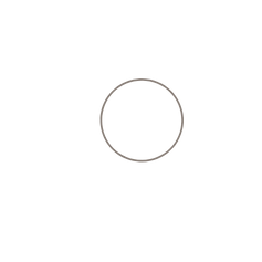 Untitled design (30).png