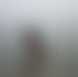 Embracing the Calm:Lessons in Executive Zen and Parenting Serenity!