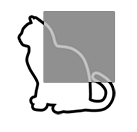 ray.png