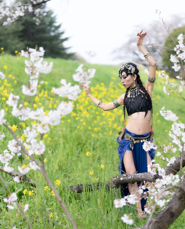 ベリーダンス｜Bellydancer 美喜 Official site｜熊谷｜