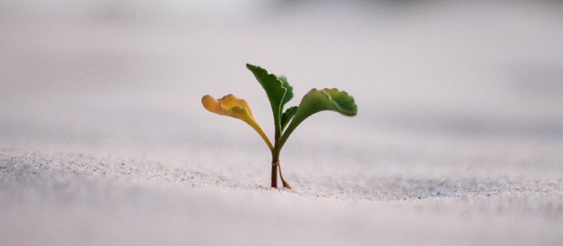 Israeli tech sees venture capital activity growth skyrocket during a global crisis