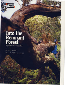 Forest Primeval Hawaii_Page_01.jpg