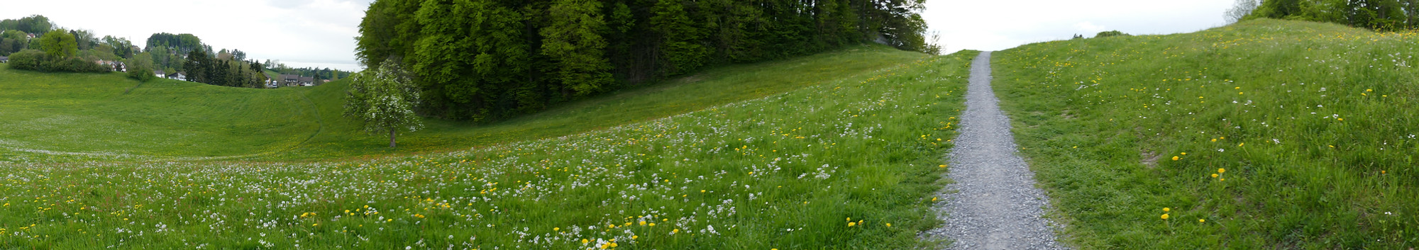2015-04-27 19.14.04.jpg